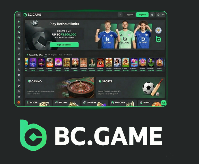 Ultimate Guide to Bonuses in the BC.Game App -371608416 Ultimate Guide to Bonuses in the BC.Game App -371608416